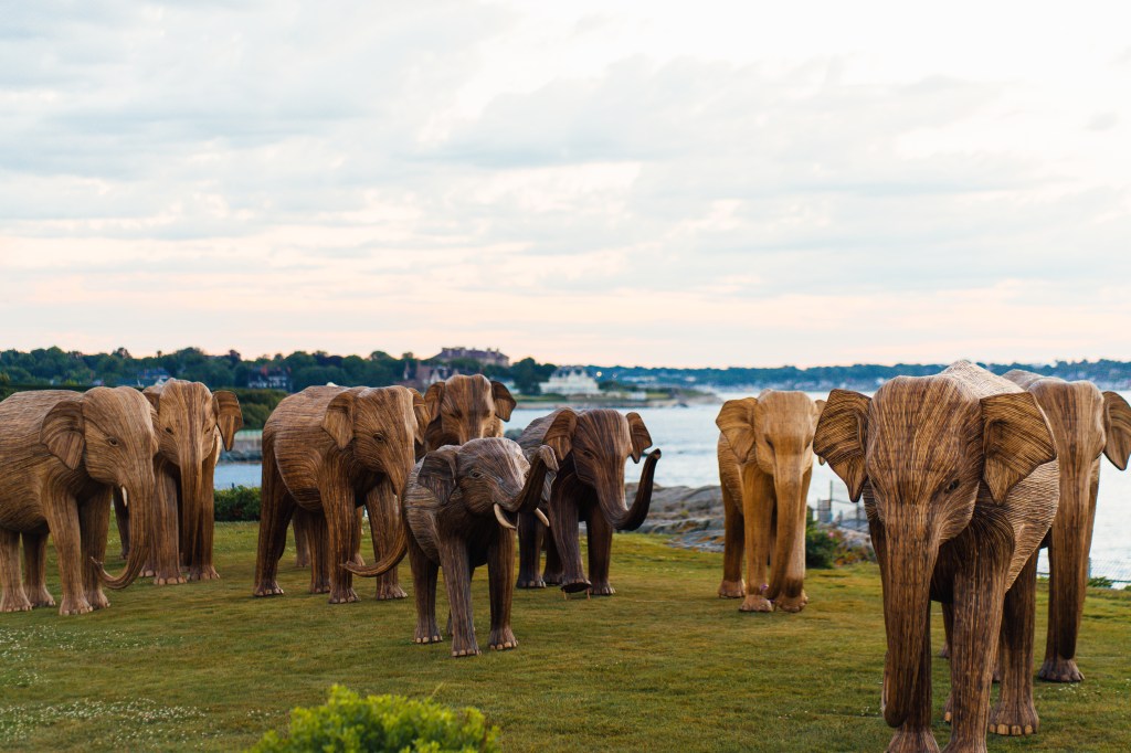 Photo from the Newport Restoration event on the ALEXA calendar on August 30, credited to Corey Favino and Elephant Family USA