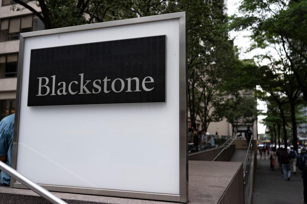 Private equity firms such as Blackstone are reportedly on a list of companies that will be allowed to own minority stakes in NFL teams.