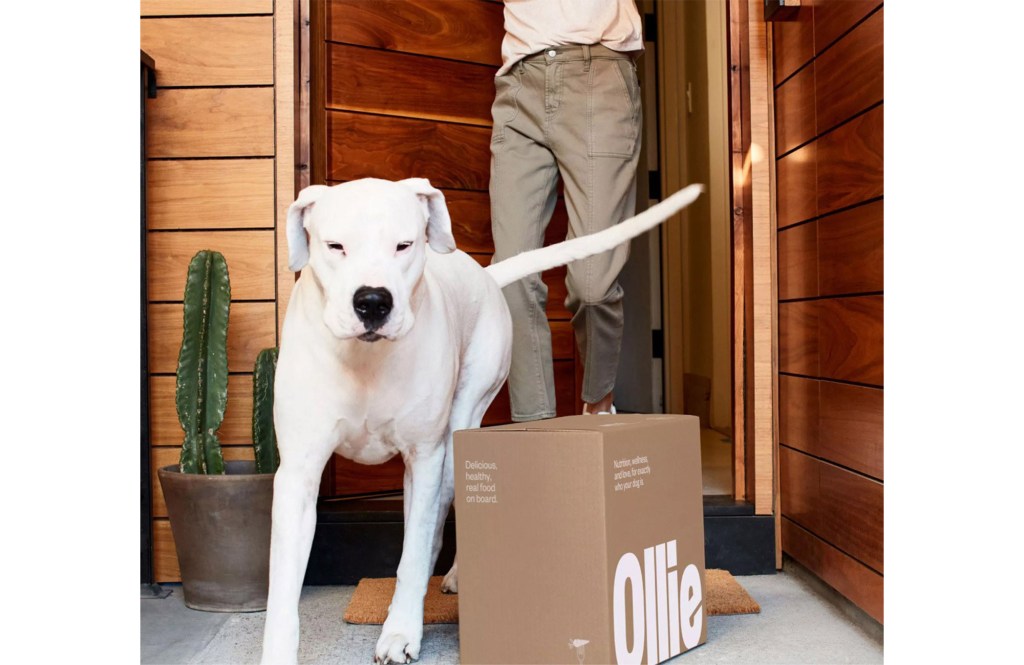 A dog standing next to a box