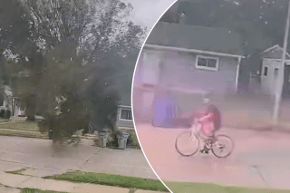 Sparks fly as bicyclist crashes into falling tree during storm