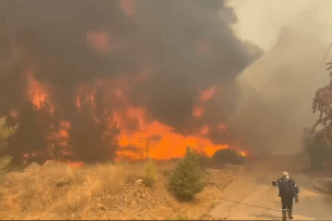 Nearly 700 firefighters, 27 forest commando teams, 190 vehicles and volunteers are all working to contain a massive fire that broke out Sunday afternoon near Varnava, northeast of Athens.