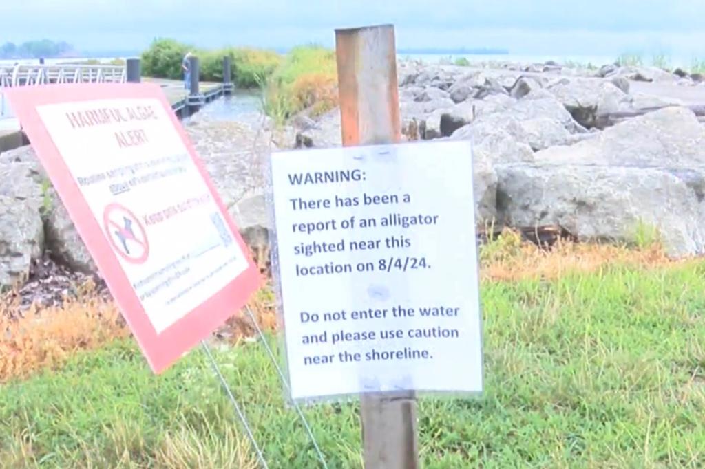 Sign warning not to swim in the Lake.