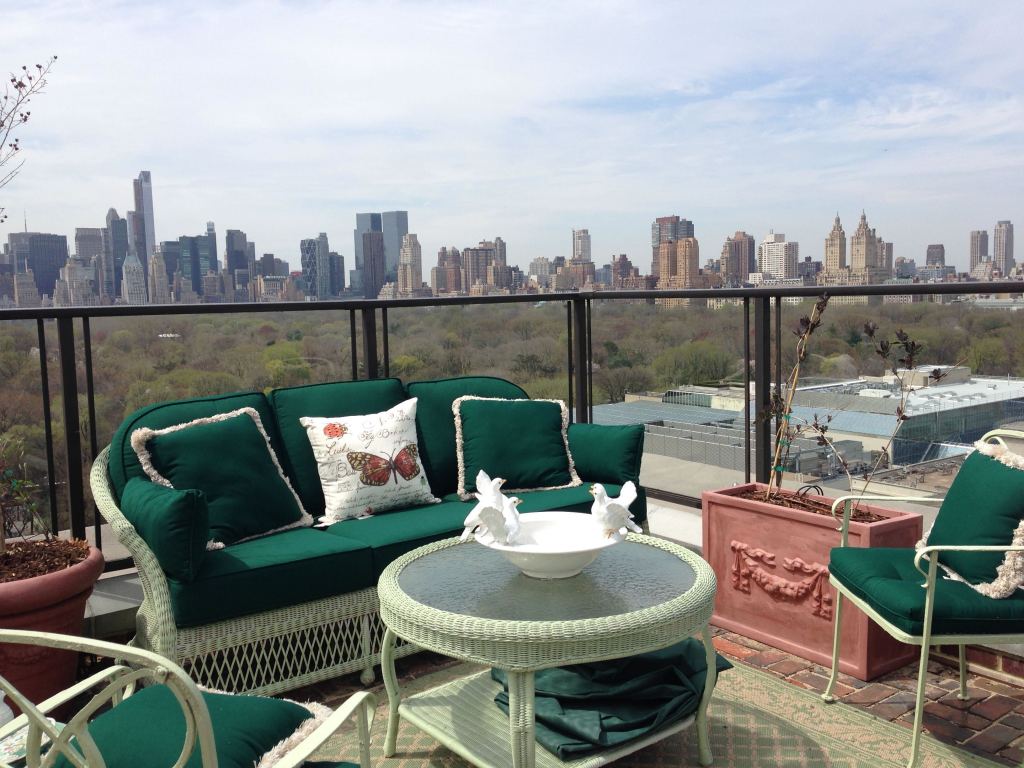 A look a the rooftop garden with view of Central Park