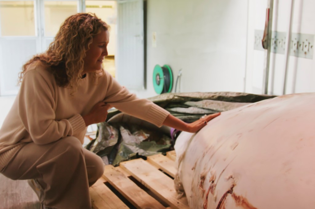 A woman crouches in front of a dead beluga whale.