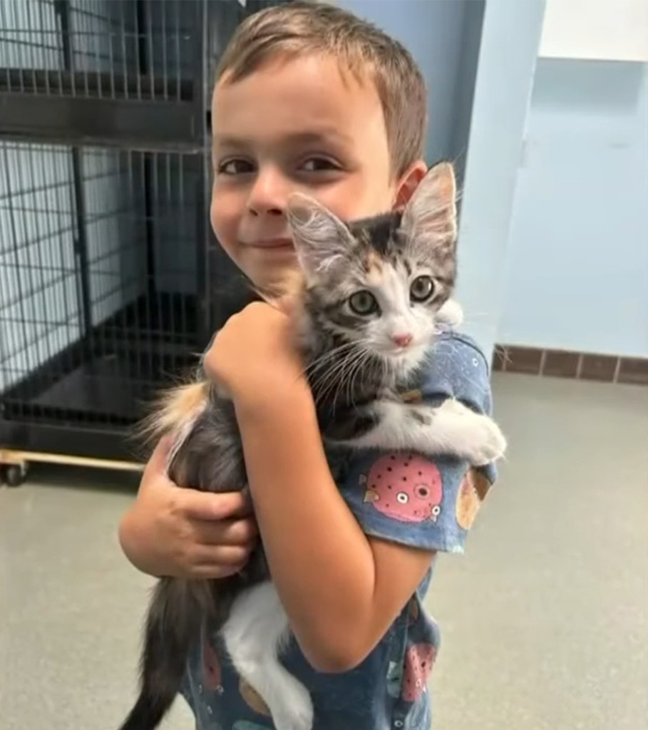 Young boy holding a small kitten