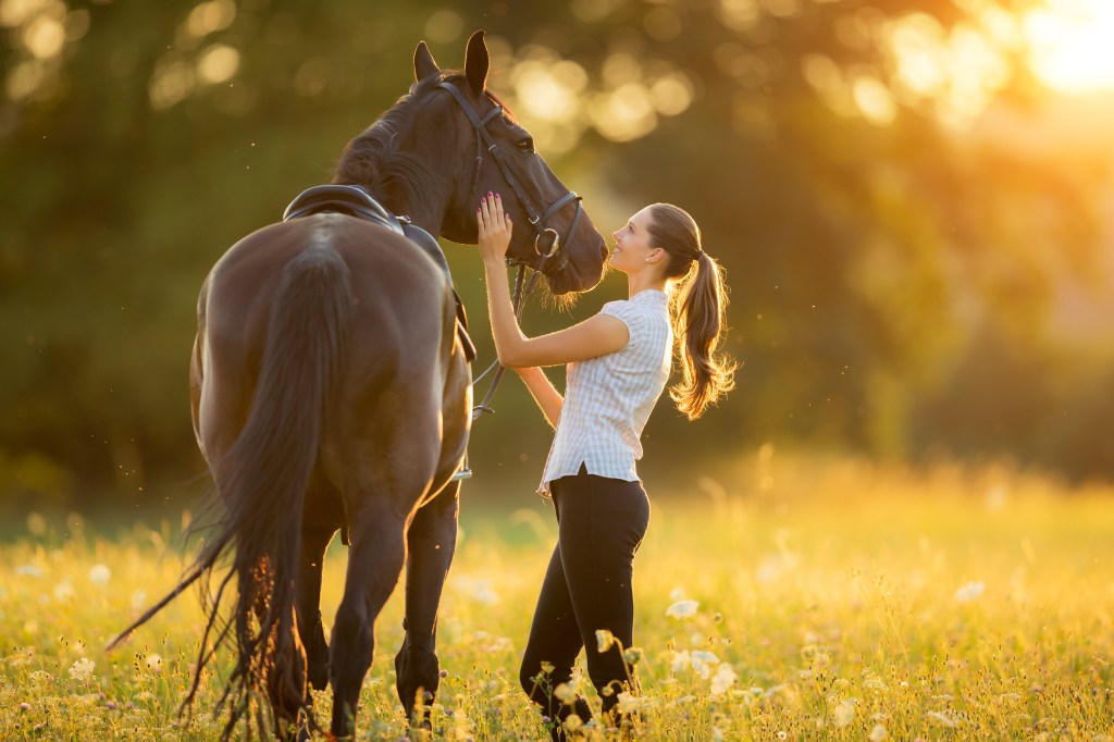 Young woman petting her horse in the glow of an evening sunset