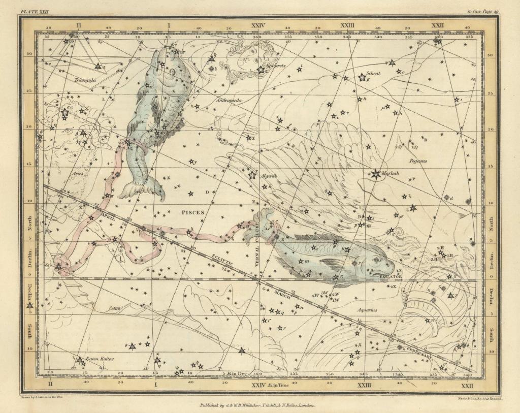 Vintage astronomical chart resembling a map of the sea