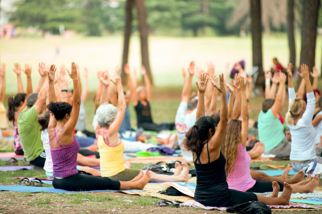 Group of people performing yoga in a park at sunset