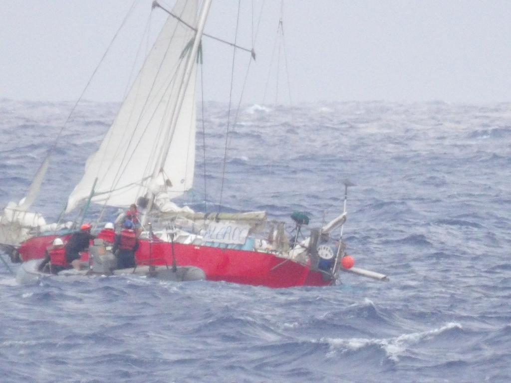 The United States Coast Guard and Navy rescued a mother and her 7-year-old child alongside their pet tortoise and cat from a sailboat nearly 1,000 miles off the coast of Hawaii