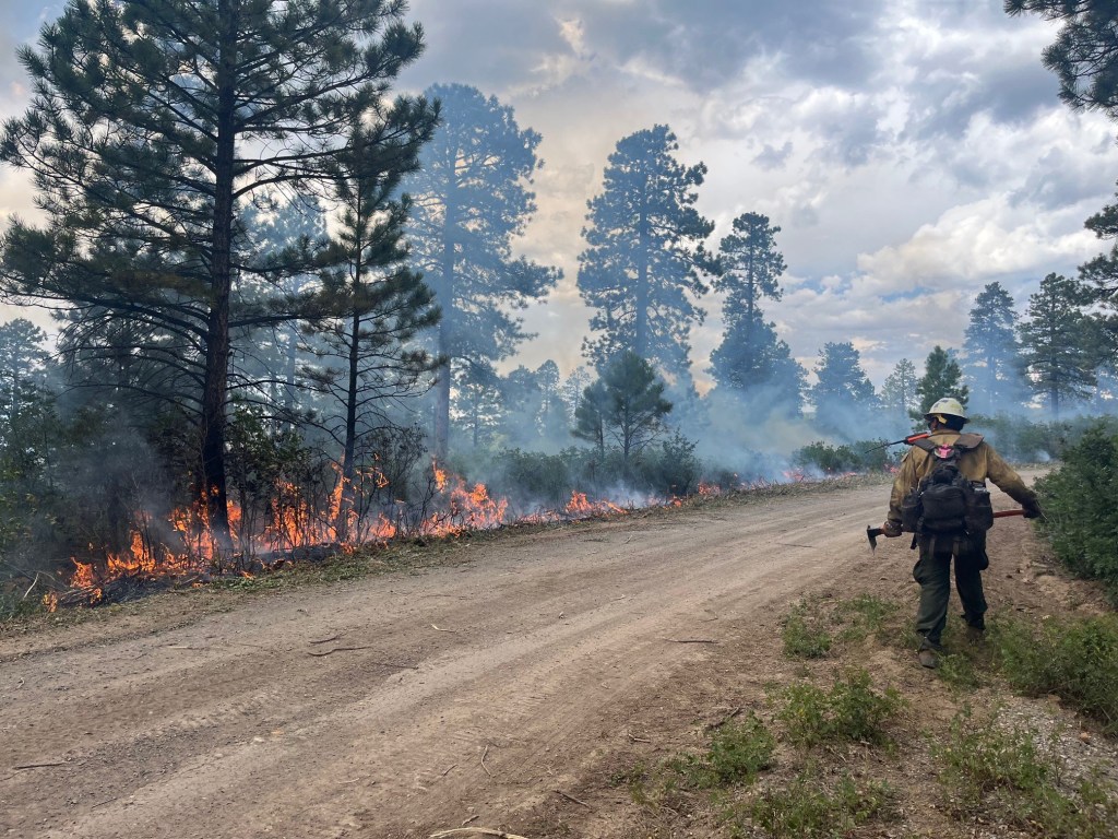 A man standing on a dirt road with a fire behind him at the Bucktail Fire, Montrose County