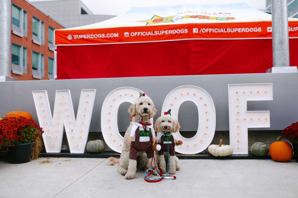 Banner for Canada Oktoberfest event named Dogtoberfest, 