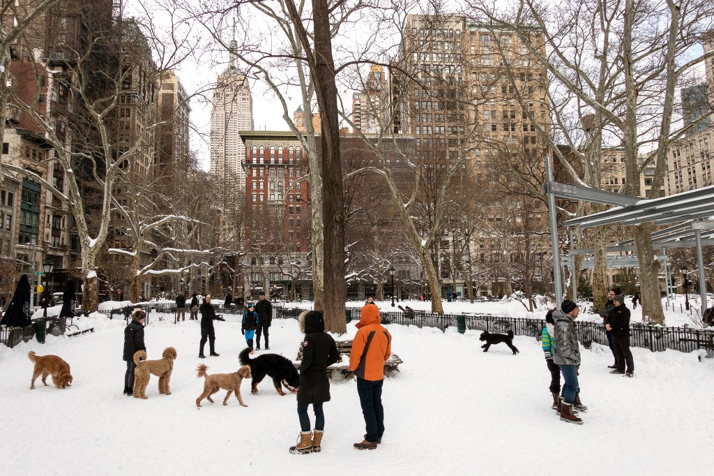 People and dogs enjoying a snowy day in Madison Square Park after Winter Storm Jonas, New York