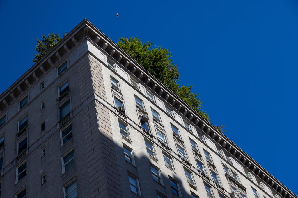 A view of the building with trees at the top