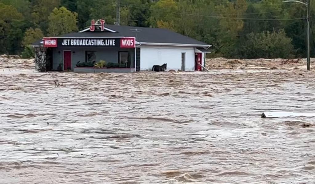 Halie Higgins posting on Facebook for help, calling for the rescue of her horse Bianca trapped in the dam floods in Erwin, Tennessee, due to Hurricane Helene