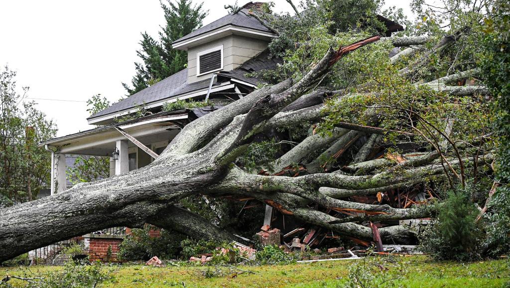 Large oak tree fallen onto a house due to Tropical Storm Helene in Anderson, South Carolina