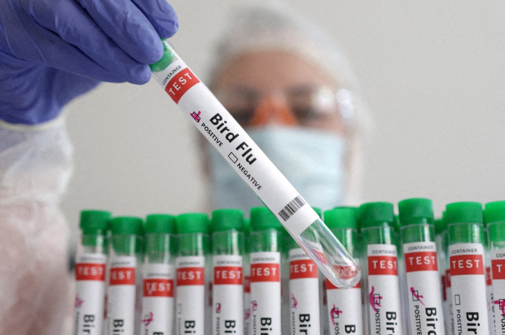 bird flu test tube