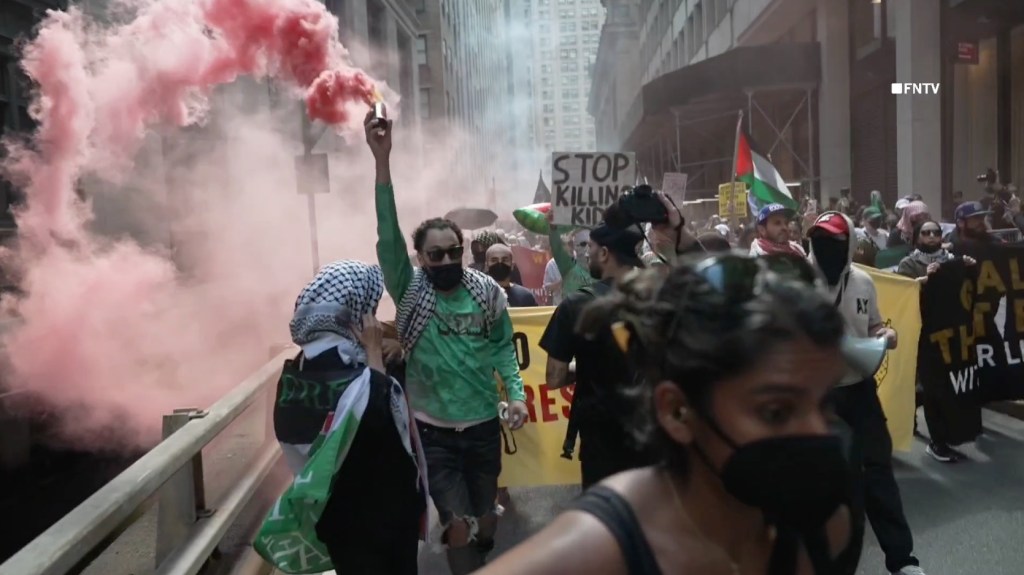 Pro-Palestinian demonstrators