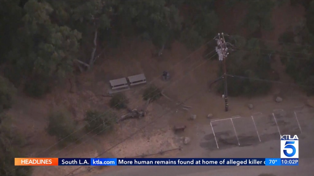 An overhead image of the picnic area where the attack took place.