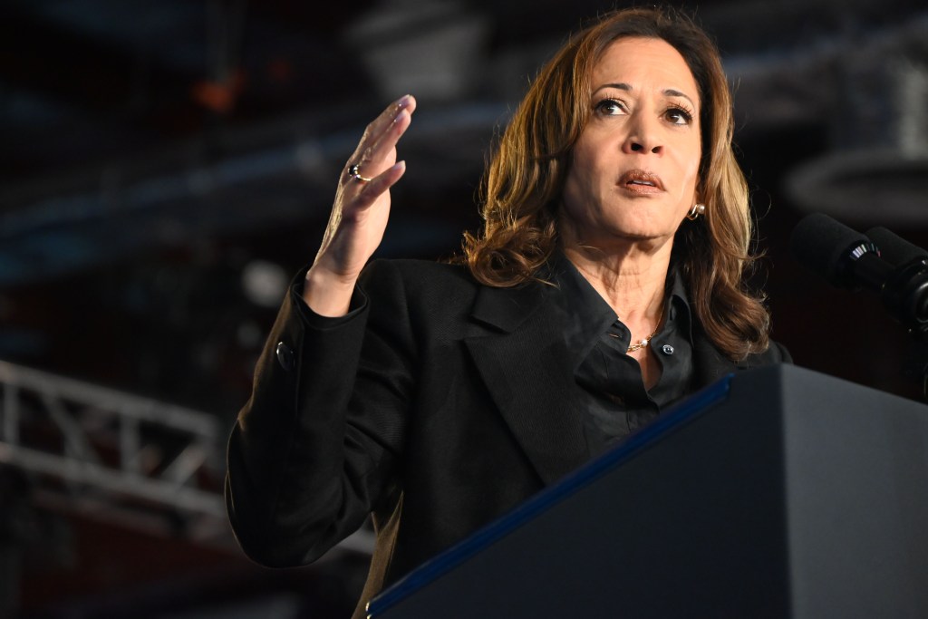 Vice President and Presidential nominee Kamala Harris speaks during the "New Way Forward" Harris-Walz campaign rally at Wilkes University in Wilkes-Barre, Pennsylvania, United States on September 13, 2024. 