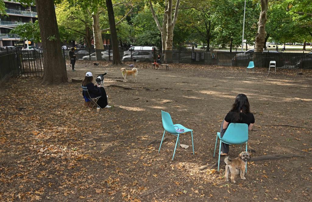 The dog run at McCarren Park in Williamsburg, NY. 