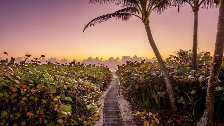 A luxurious estate in Manalapan, Florida, listed for just shy of $26 million, offers an exclusive membership to billionaire Larry Ellison's Eau Palm Beach Resort, recently purchased by Ellison himself.