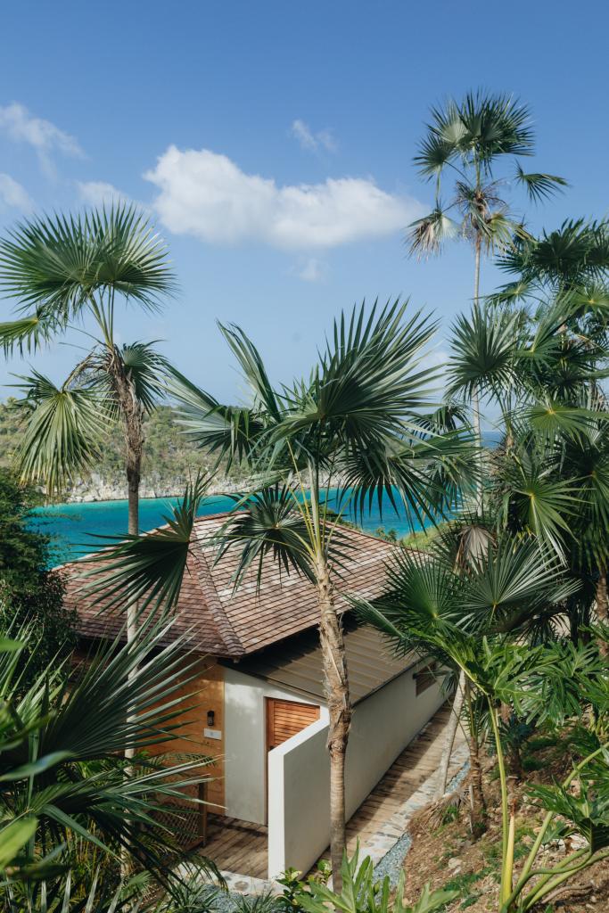 Prime treesort living amidst the tropical greenery at Lovango on St. John, USVI.