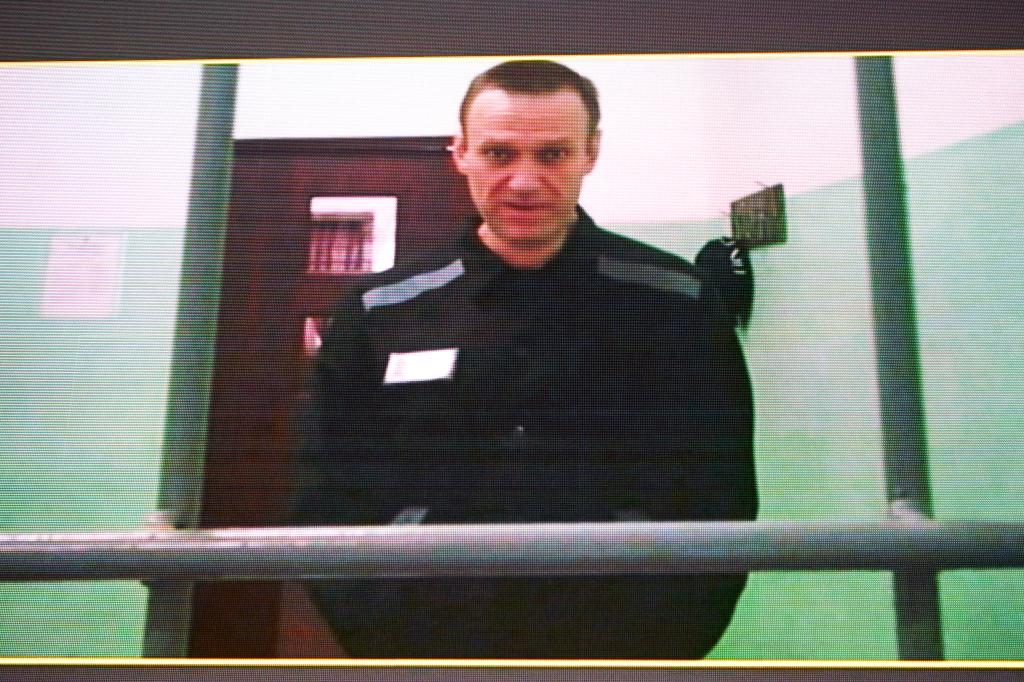 Alexei Navalny onscreen via video link from his penal colony during court hearing at Russia's Supreme Court in Moscow