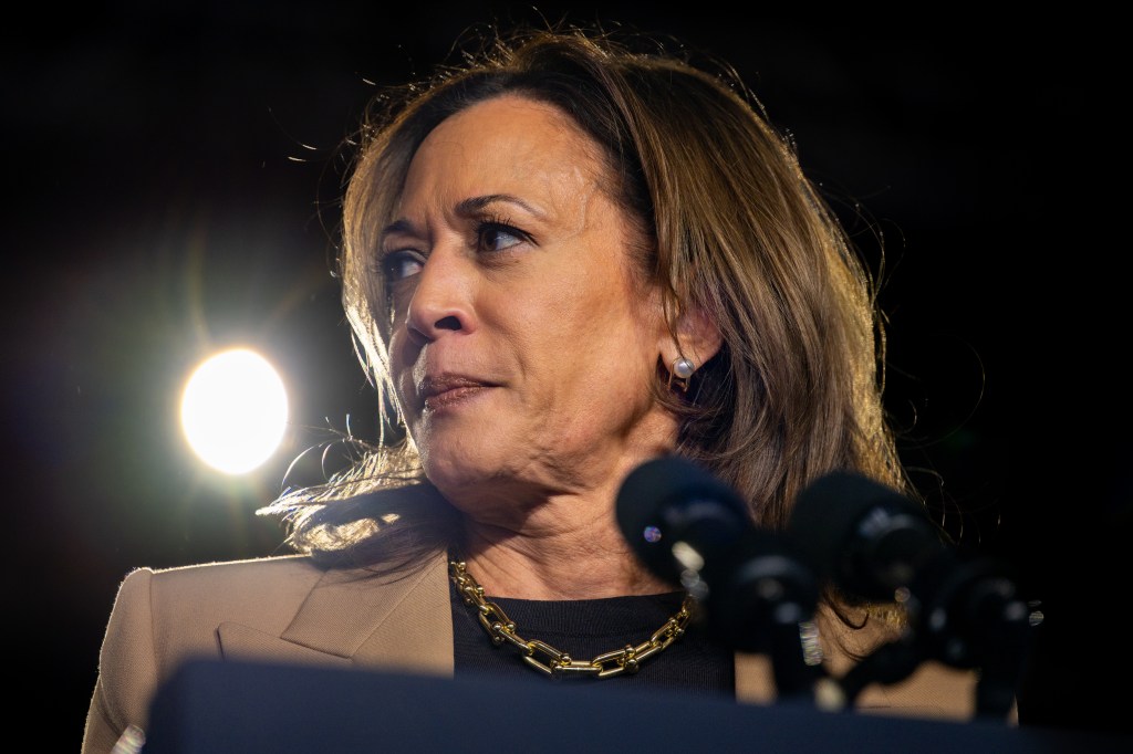 Democratic presidential nominee, Vice President Kamala Harris pauses while speaking during a campaign rally at the Rawhide Event Center on October 10, 2024 in Chandler, Arizona. 