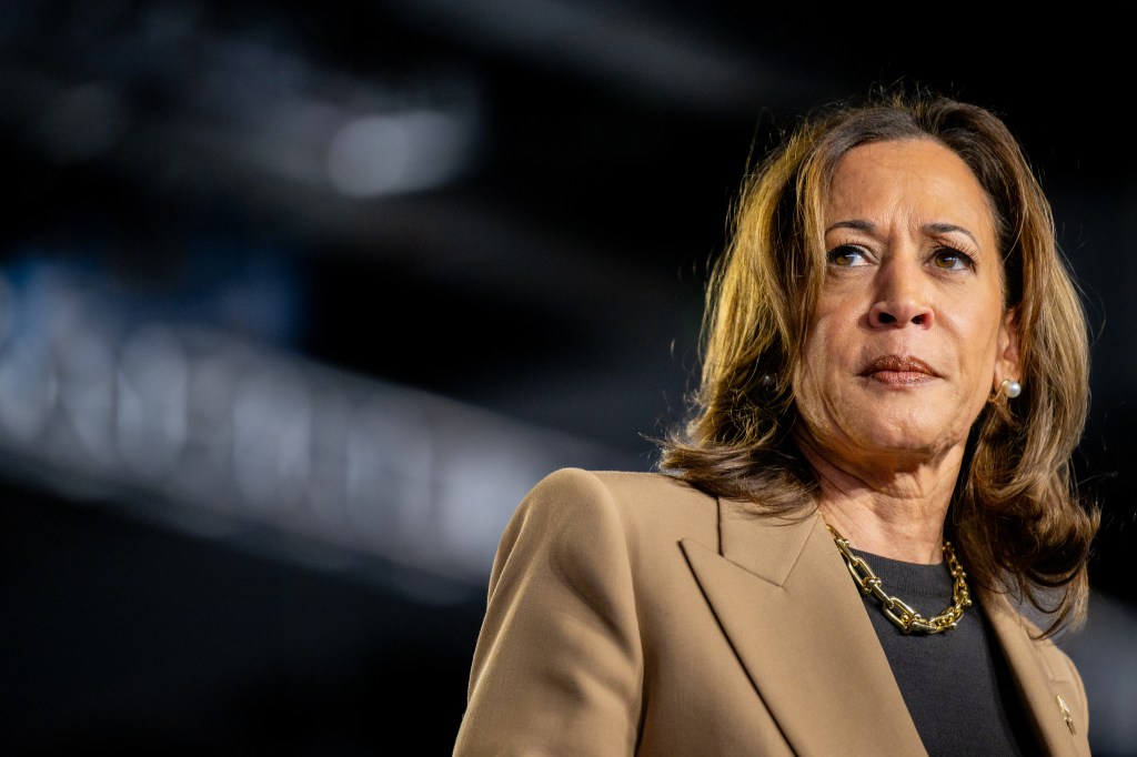 Kamala Harris speaking at a campaign rally on Oct. 10, 2024.