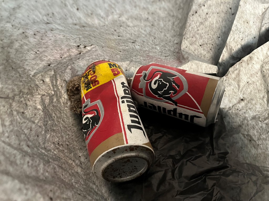 Art installation 'All The Good Times We Spent Together' by French artist Alexandre Lavet, depicting two empty beer cans in a rubbish bin at LAM Museum