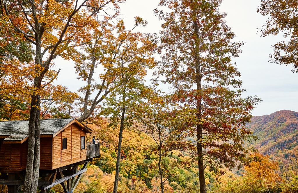 A tree house nestled in the vast forest of the 12,000-acre Primland resort in Virginia