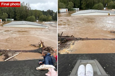 A heartbreaking final photo of North Carolina grandparents waiting to be rescued on their roof while surrounded by fierce floodwaters has emerged following the devastation left by Hurricane Helene.