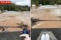 Heartbreaking photo shows NC grandparents trapped on roof before they were swept away by floodwaters along with grandson