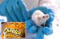 Cheetos food dye turns mice transparent — and scientists say there's a simple explanation