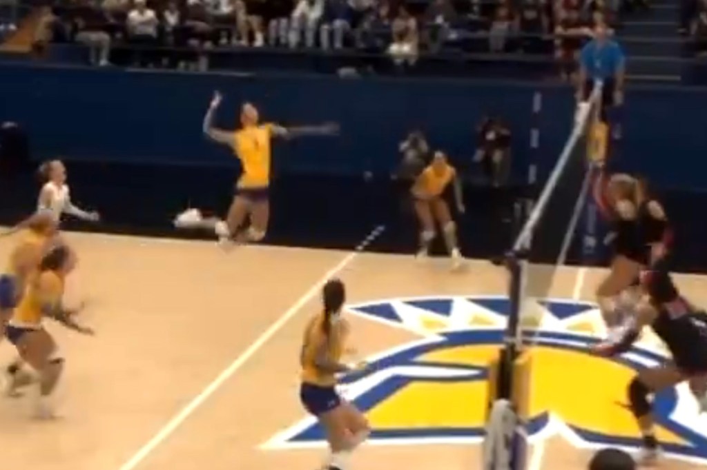 A group of people playing volleyball