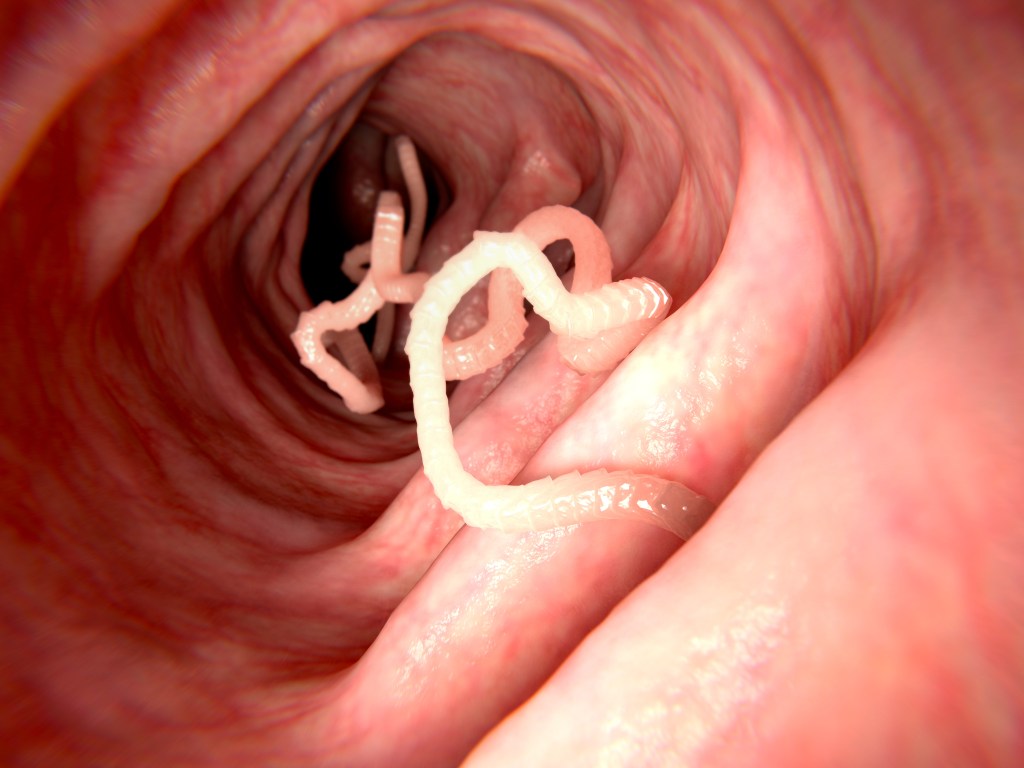 A close-up image of a worm inside a human body