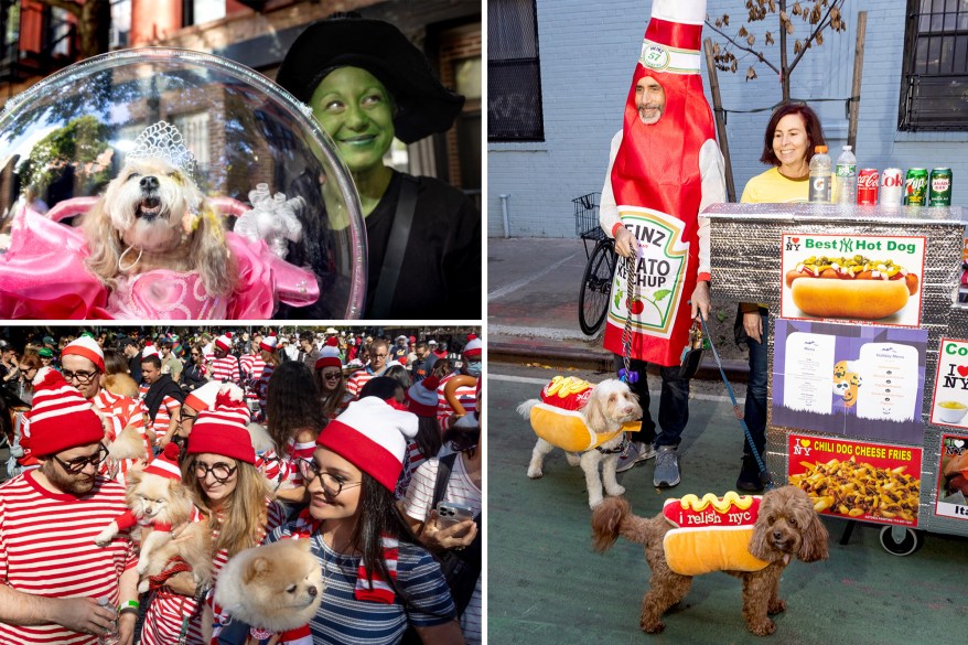 Costume-clad pups take to NYC streets for 34th annual Tompkins Square Halloween Dog Parade