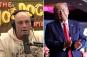 Trump books Joe Rogan interview in final election push – here's when the podcast is expected to be recorded