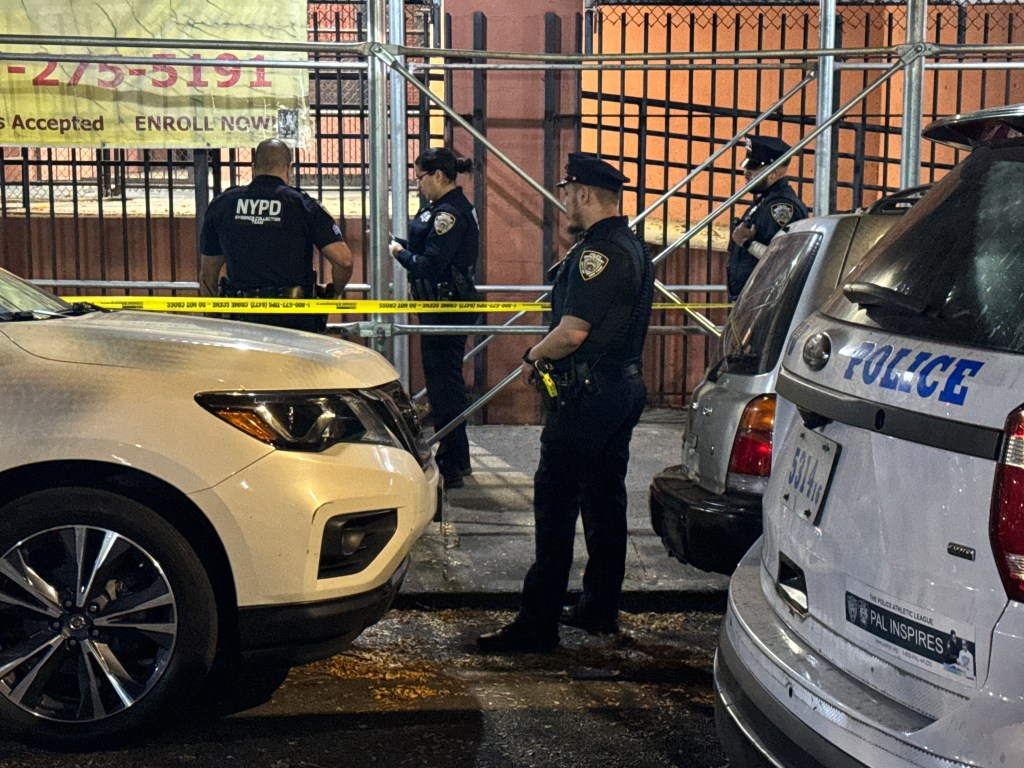 The teen girl was struck around 6:45 p.m. near 183rd Street and Crotona Avenue in the Belmont part of the borough just two blocks from the Bronx Zoo, police said.