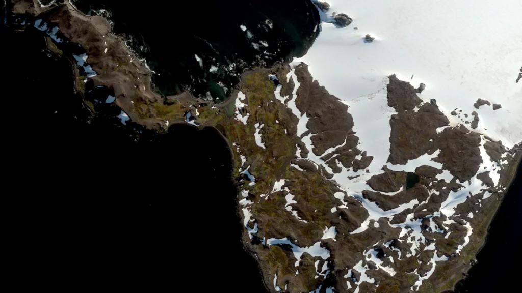 Satellite images show the Antarctic Peninsula, which scientists fear is greening at extremely aggressive rates in recent decades. 