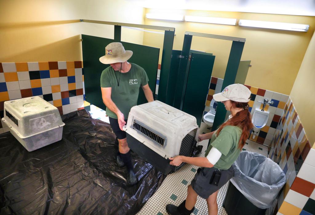 Birdkeepers moving animals to a restroom at the Central Florida Zoo and Botanical Gardens in Sanford on Oct. 8, 2024.