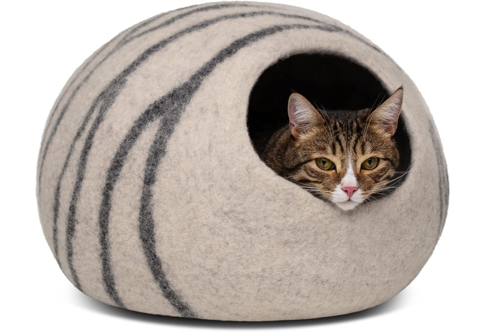 A cat resting in a cat bed