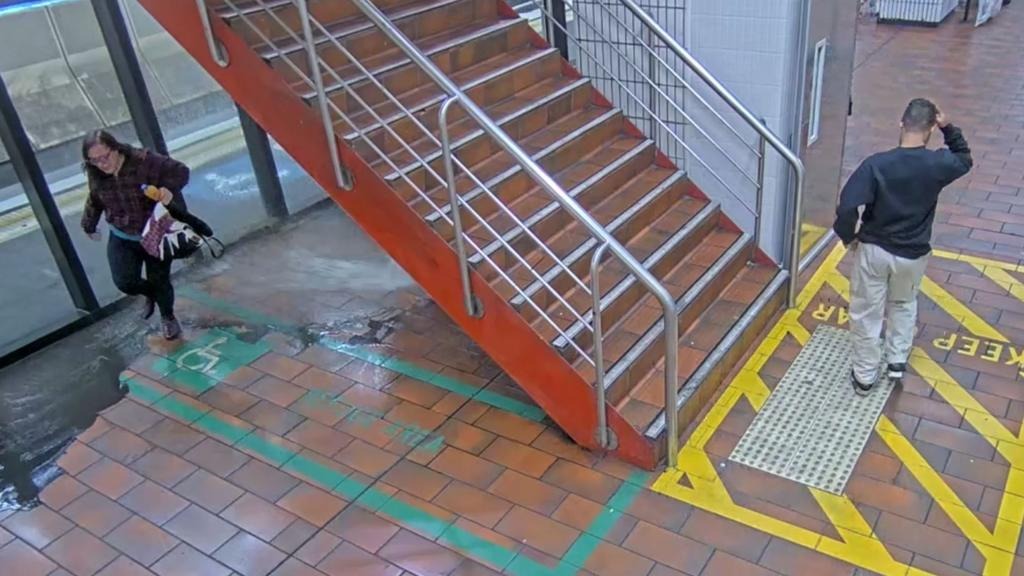 The pair damaged a water pipe and the fire sprinkler system at Melbourne Central.