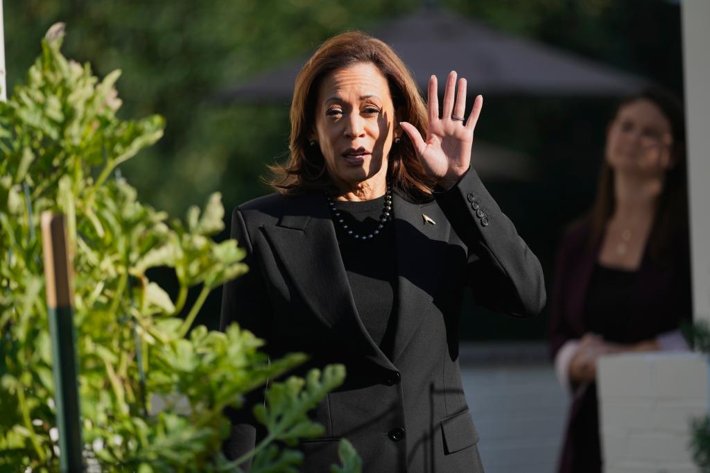 Vice President Kamala Harris speaking to reporters after planting a memorial tree, in a black suit, waving her hand