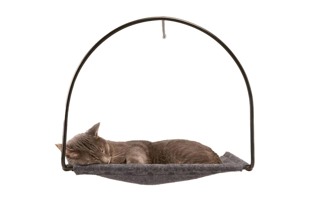 A cat sleeping peacefully in a hammock