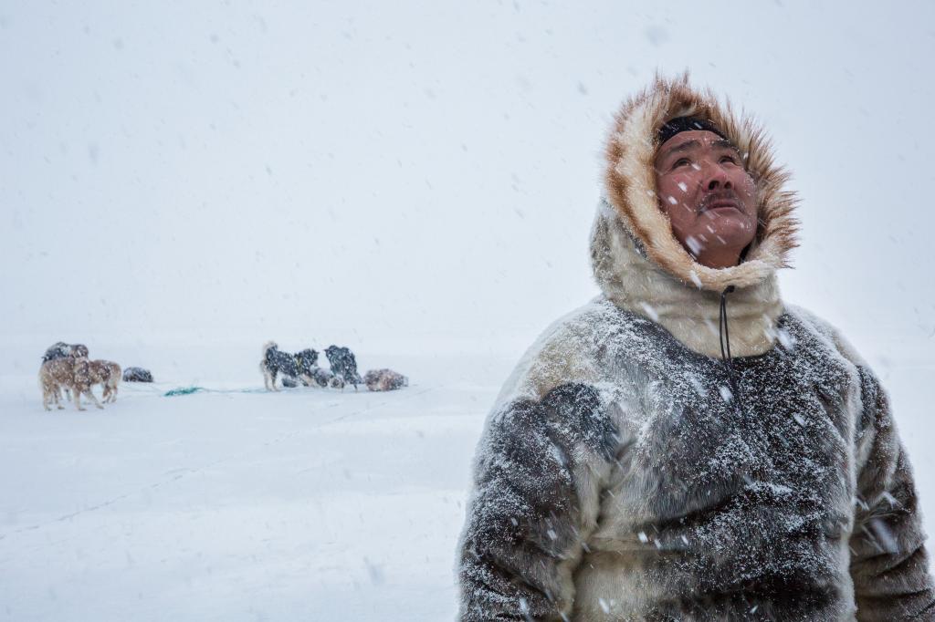 Inuit hunter and dogs looking up at the first snow of spring in Greenland.