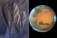 A new study found there is potential for photosynthesis on Mars, where snow and ice shields ultraviolet radiation at mid-latitudes.