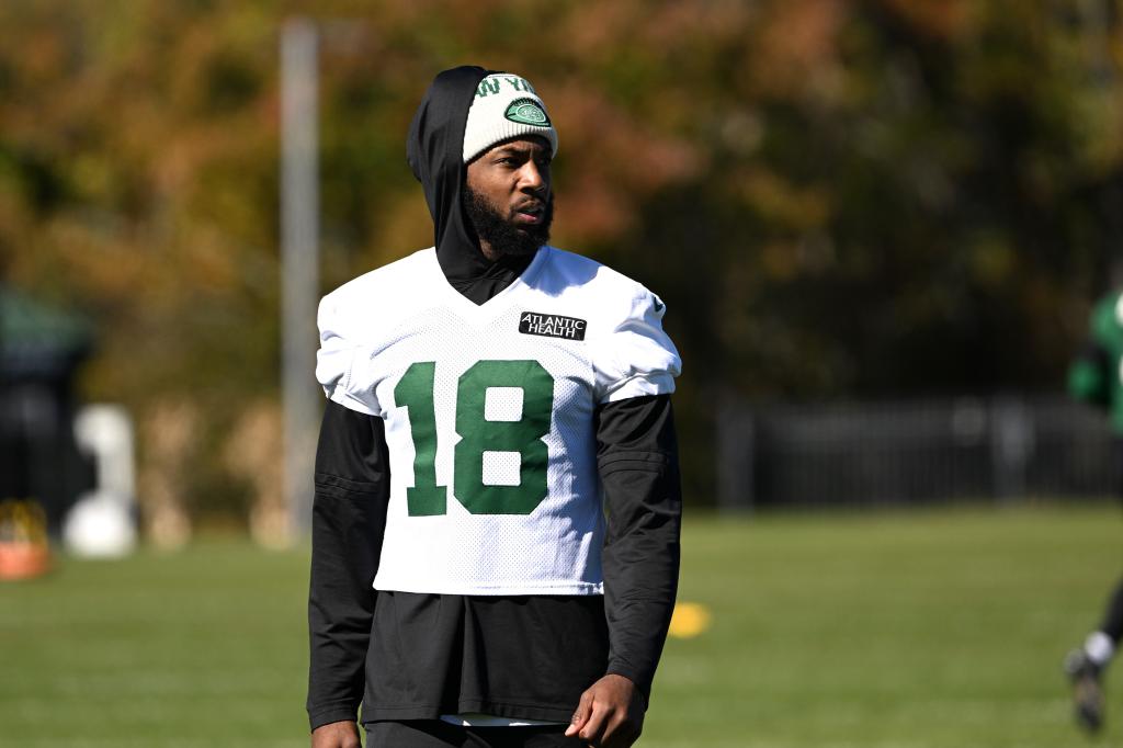 Jets receiver Mike Williams.