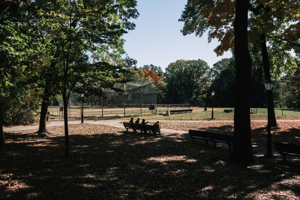 A view of people sitting on a park bench.