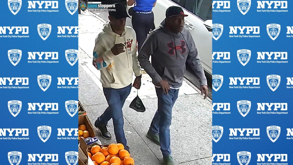 The crooks posed as handymen dispatched to repair a leak when they showed up at the apartment at Courtlandt Avenue and East 150th Street in Mott Haven around 1 p.m. Sept. 20, cops said. 